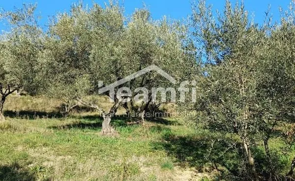 Terrain à bâtir 2504 m²