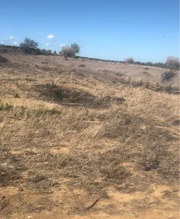 Terrain de loisirs