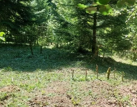 Terrain à louer - 2 060 m² - Doucier (39)
