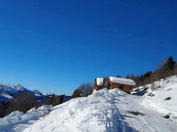 Chalet en pleine nature avec vue