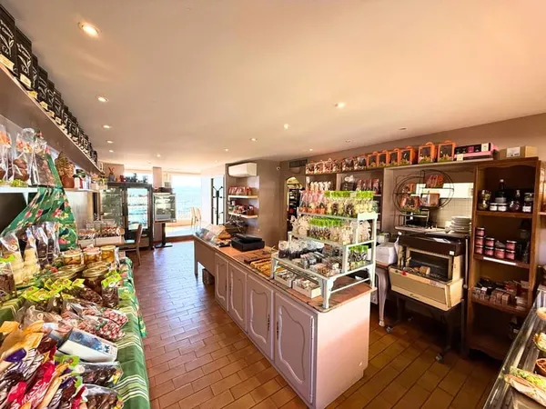 Murs et fonds de commerce + appartement