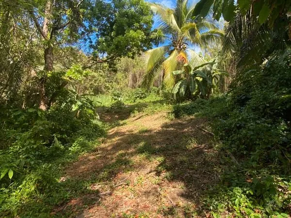 Propriété à vendre