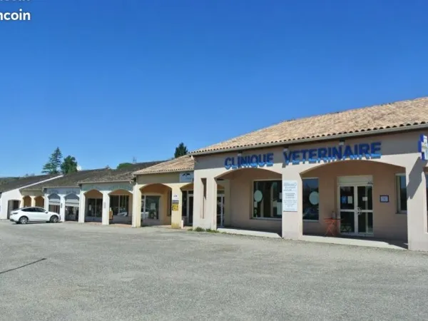 Local commercial