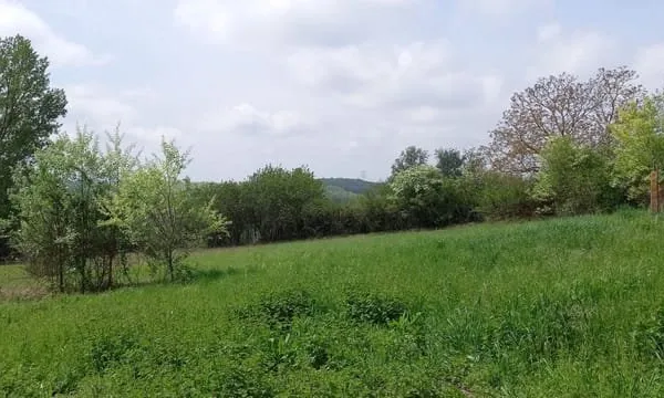 Terrain 7030 m²