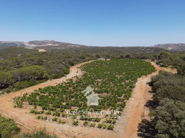 Vente terrain agricole