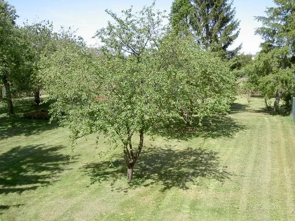 Terrain à bâtir Vente Esmans  1705m² 117000€