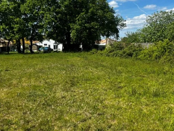 Terrain 555 m²