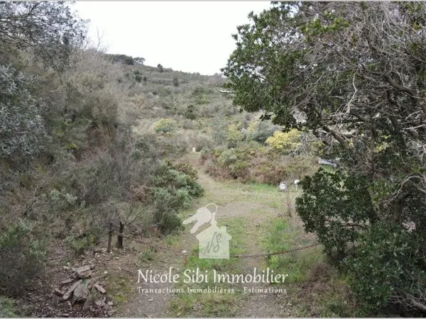 Vente terrain