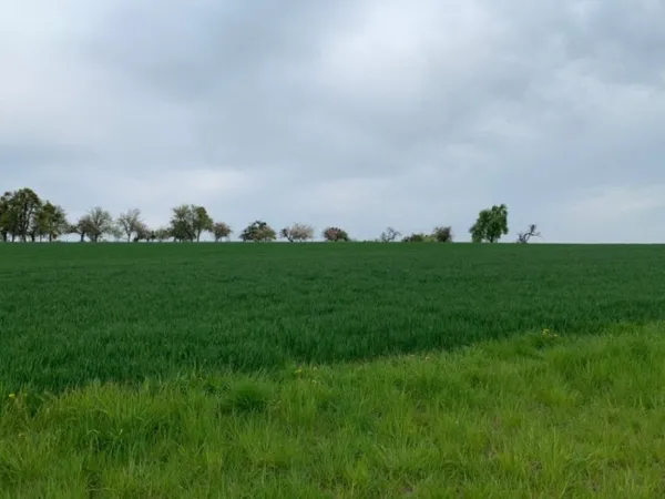 Terrain 498 m²