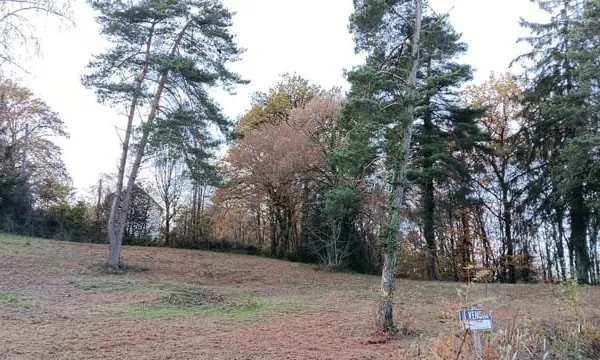 Terrain de 4445m2 à vendre à 10 minutes de Tulle