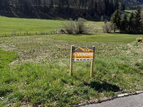 Terrain constructible