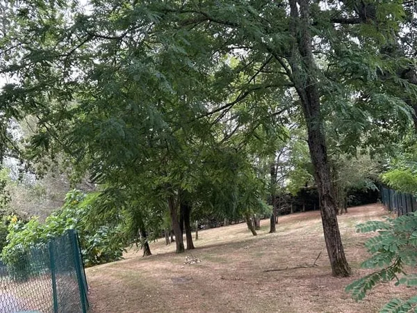 Terrain 907 m²