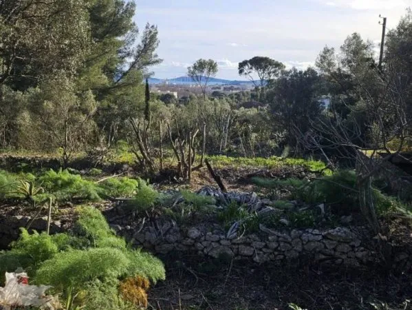 Terrain constructible 451 m²