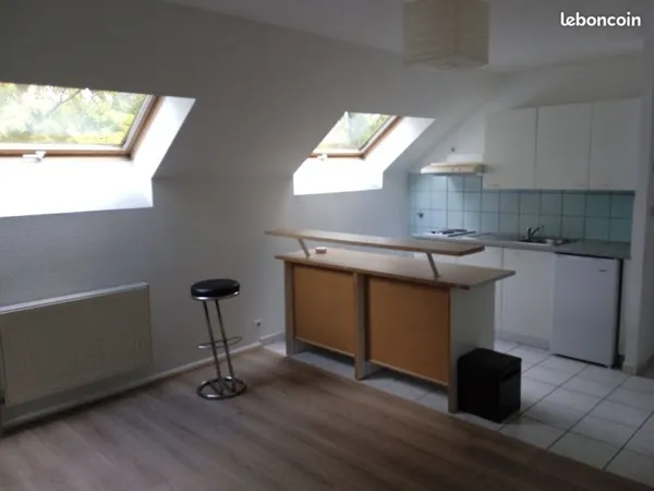 STUDIO - 30 M² - Mulhouse - Dornach