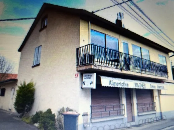 Bien immobilier de rendement Vente Dalhunden  518m² 249900€