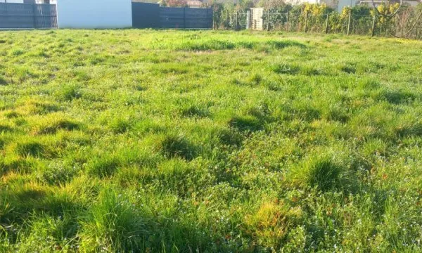 Terrain 1000 m²