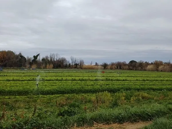 Terrain 44 000 m²