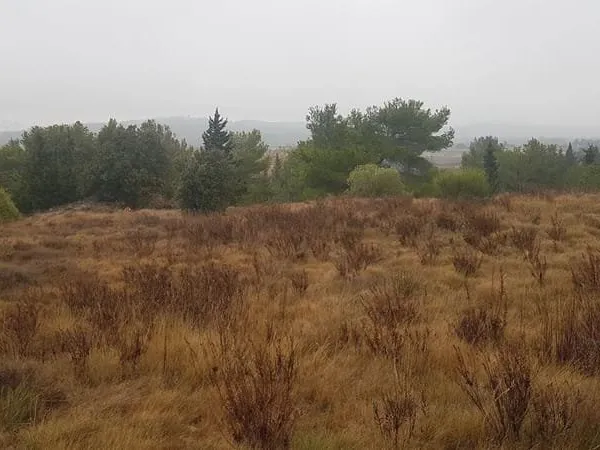Terrain - 1483m ²