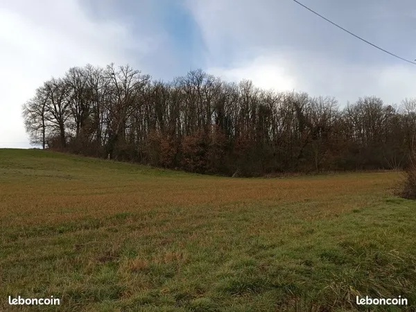 4 Terrains Loisirs Boisé Ou Déboisé isolé Terre Bois Chêne 3103m2 2973m2 1130m2 637m2