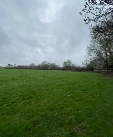 1,3 hectares pour chevaux location