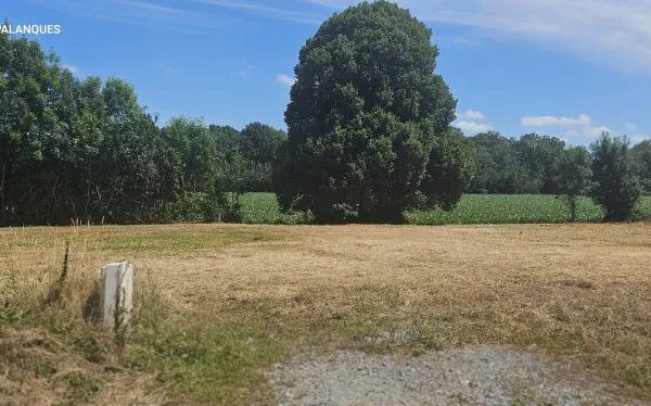 Terrain 1186 m²