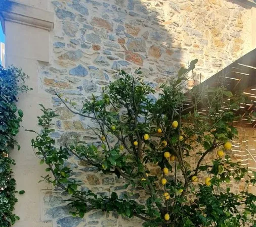 Bâtisse en pierres entièrement restaurée