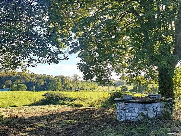 Dép 17270, Maison + dépendaces + 17 hectares !!!