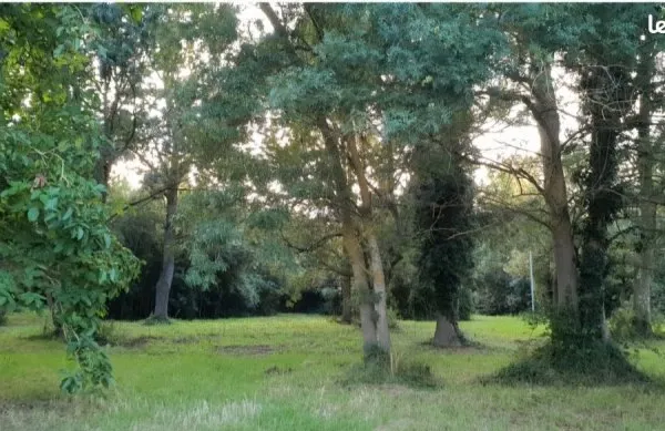 Terrain non constructible Thoureil