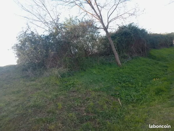 Terrain / Lot