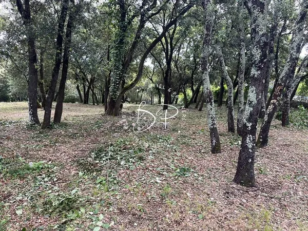 Le Thoronet, à vendre, terrain de 1200 m2 situé en zone constructible