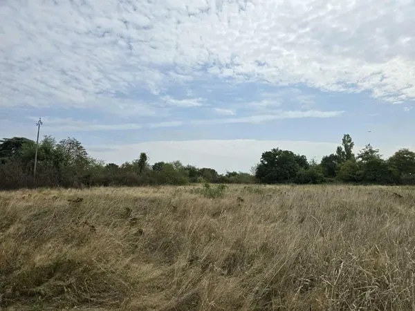 Terrain Agricole à Vendre