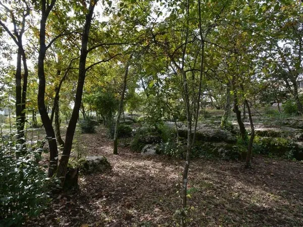Terrain 1794 m2
