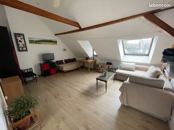 Spacieux appartement lumineux et calme