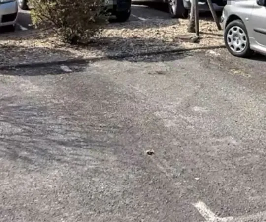 Place de parking