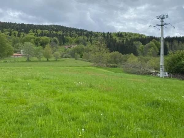 Terrain constructible