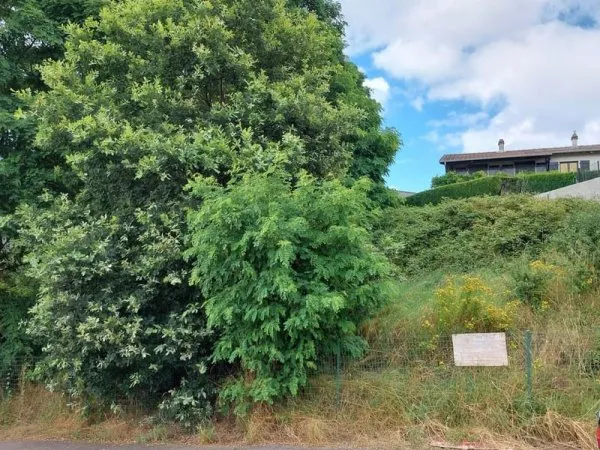 Terrain 2600 m²