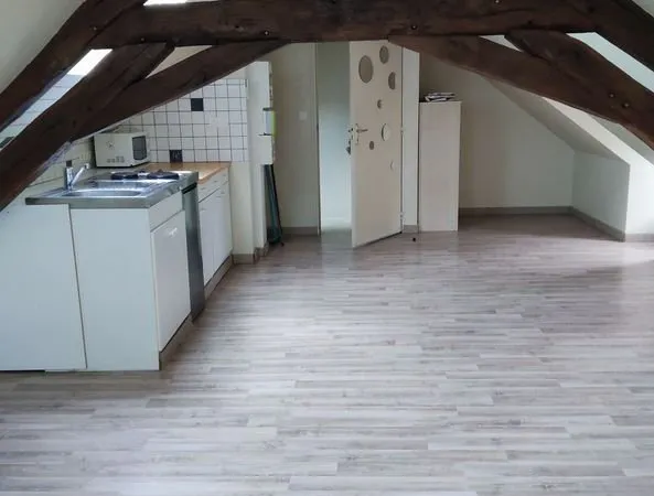 A Louer Appartement 28 m² Fussy