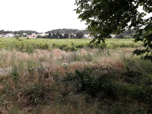 Terrain 503 m²