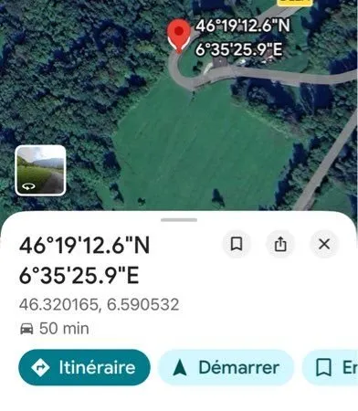 Terrain agricole et forêt