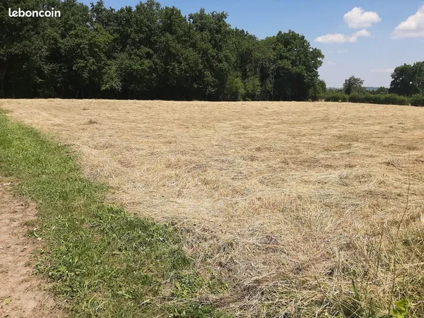 Vente de terrain