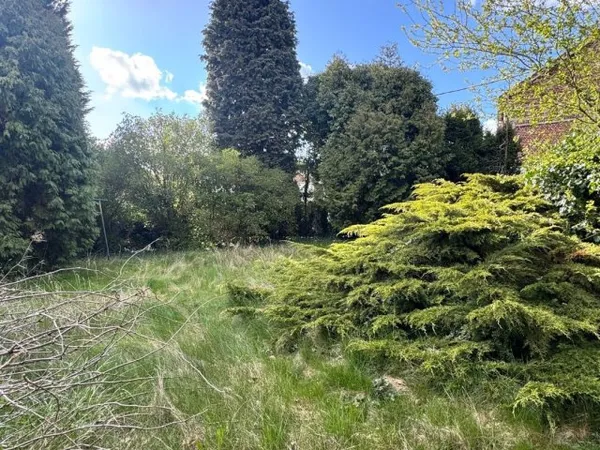 Terrain 550 m²