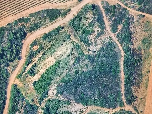 Terrain agricole
