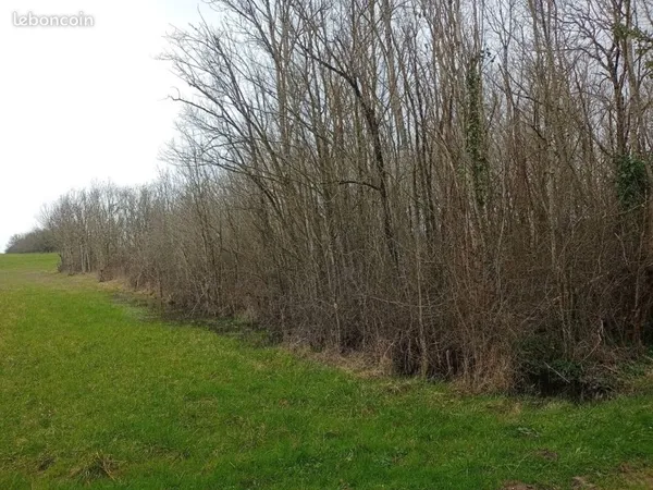 Terrain agricole