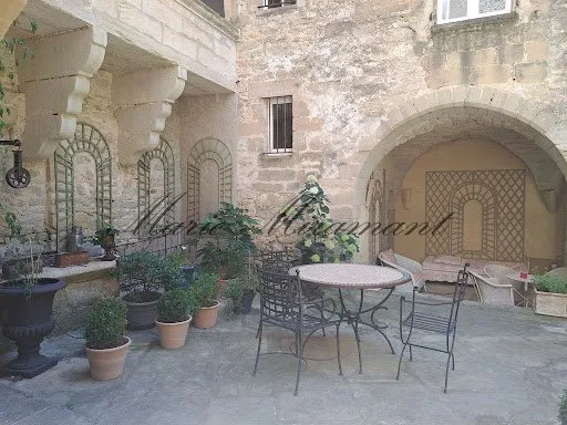 Hôtel particulier 12 pièces 450 m²