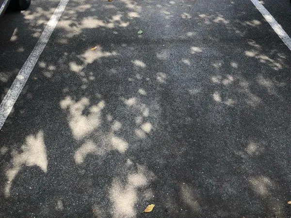 Place de parking dans résidence sécurisée