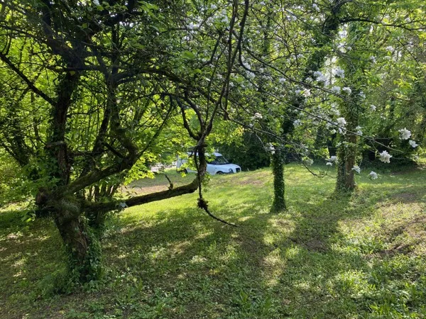 TERRAIN À BÂTIR DANS LA COMMUNE D'HESCAMPS