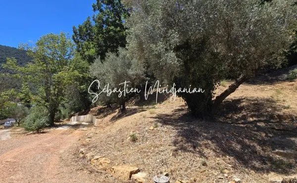 Terrain 1987 m²