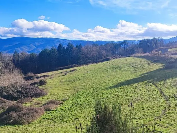 Terrain 1825 m²