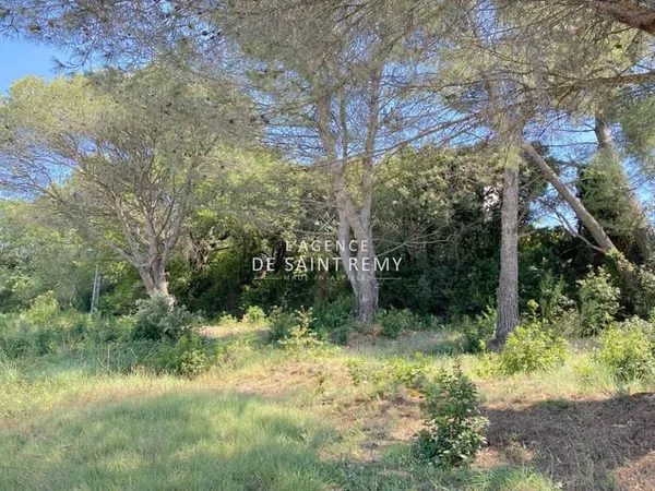 Terrain Constructible de 1500 m² : Votre Projet Immobilier au