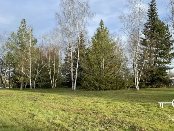 Terrain Montrieux En Sologne 1.499 m2